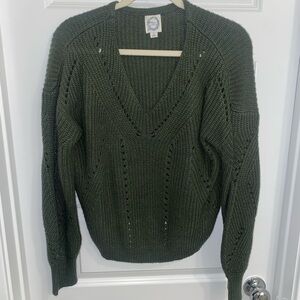 Francesca’s Collection Green Crochet Sweater